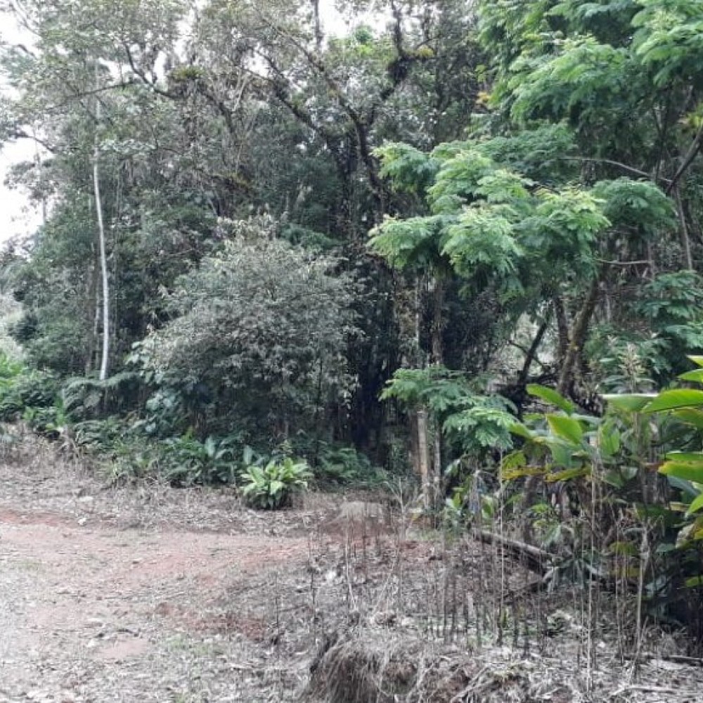 chcara rio molha