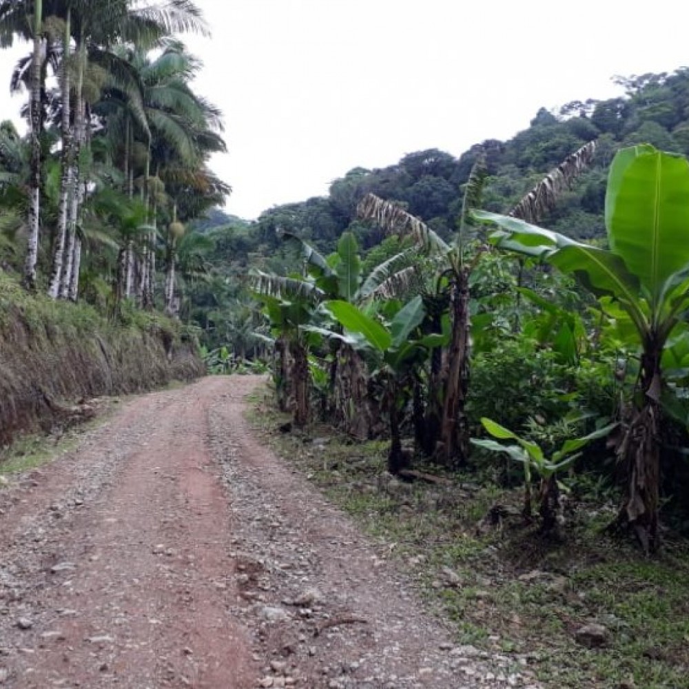 chcara rio molha