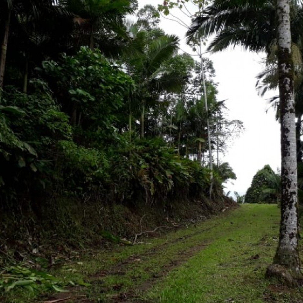 chcara rio molha