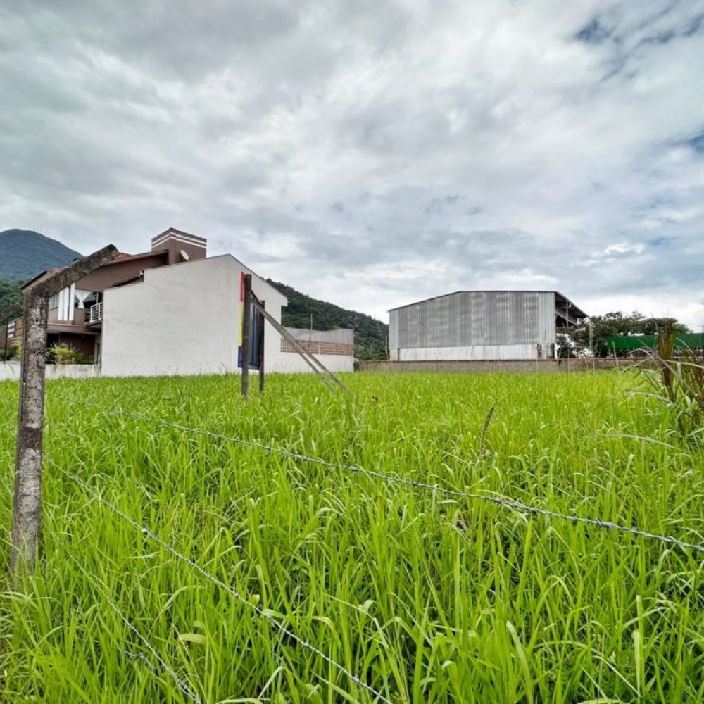 terreno ilha da figueira 