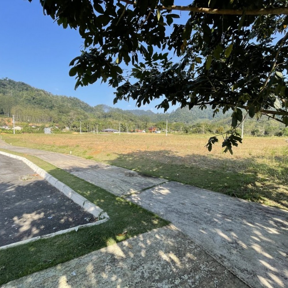 Terreno Brao do Ribeiro Cavalo jgu do Sul