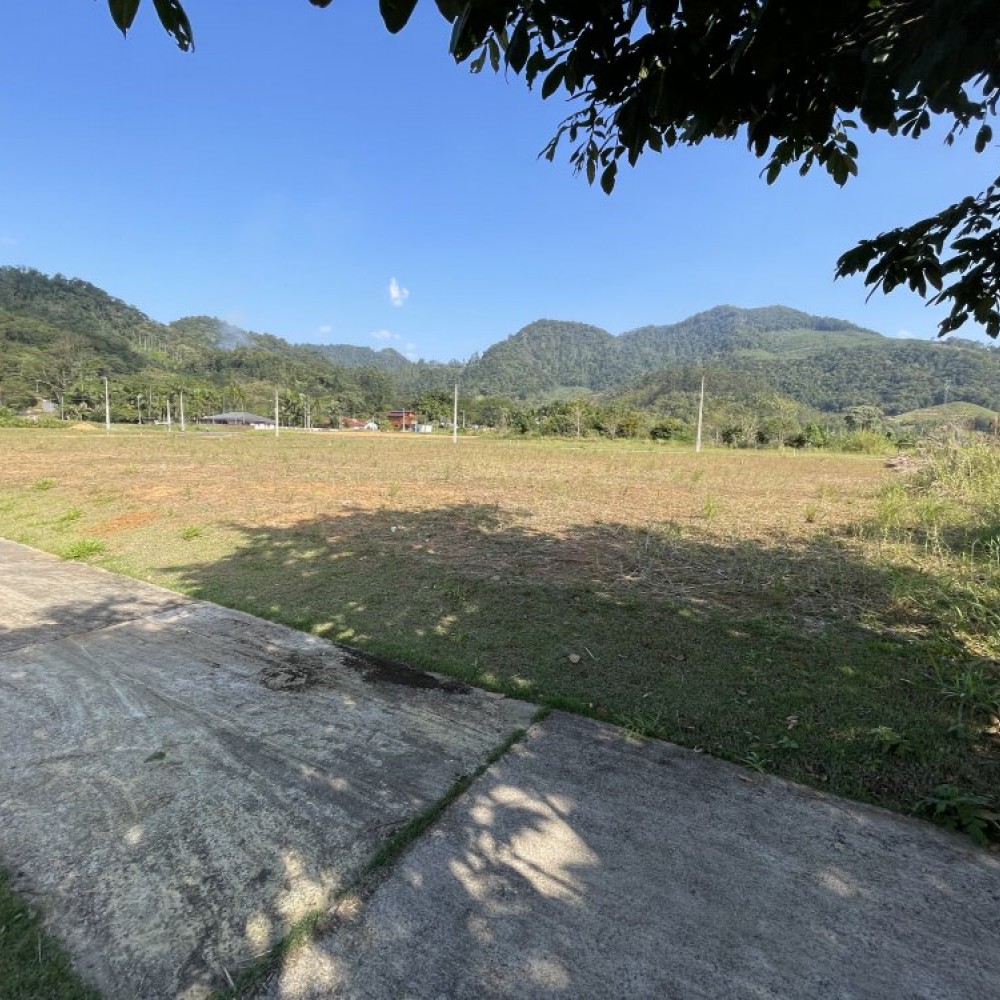 Terreno Brao do Ribeiro Cavalo jgu do Sul