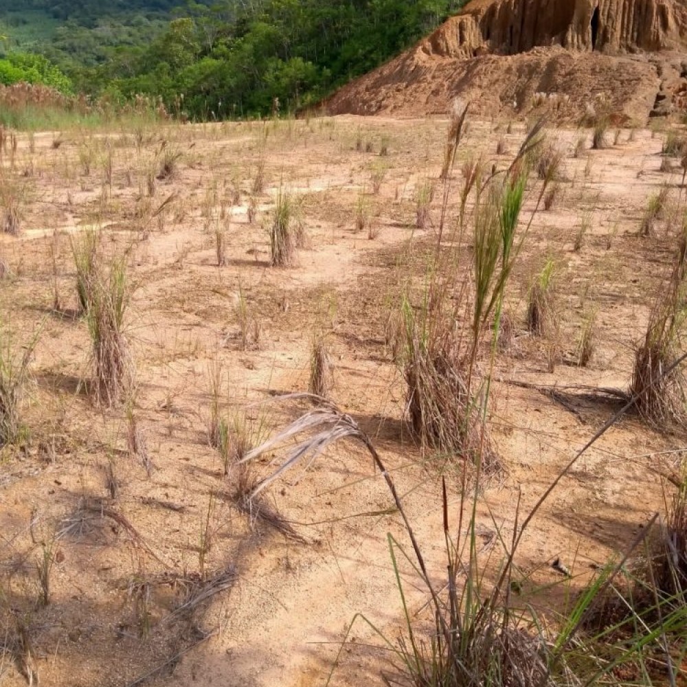 Chacara em Nereu Ramos