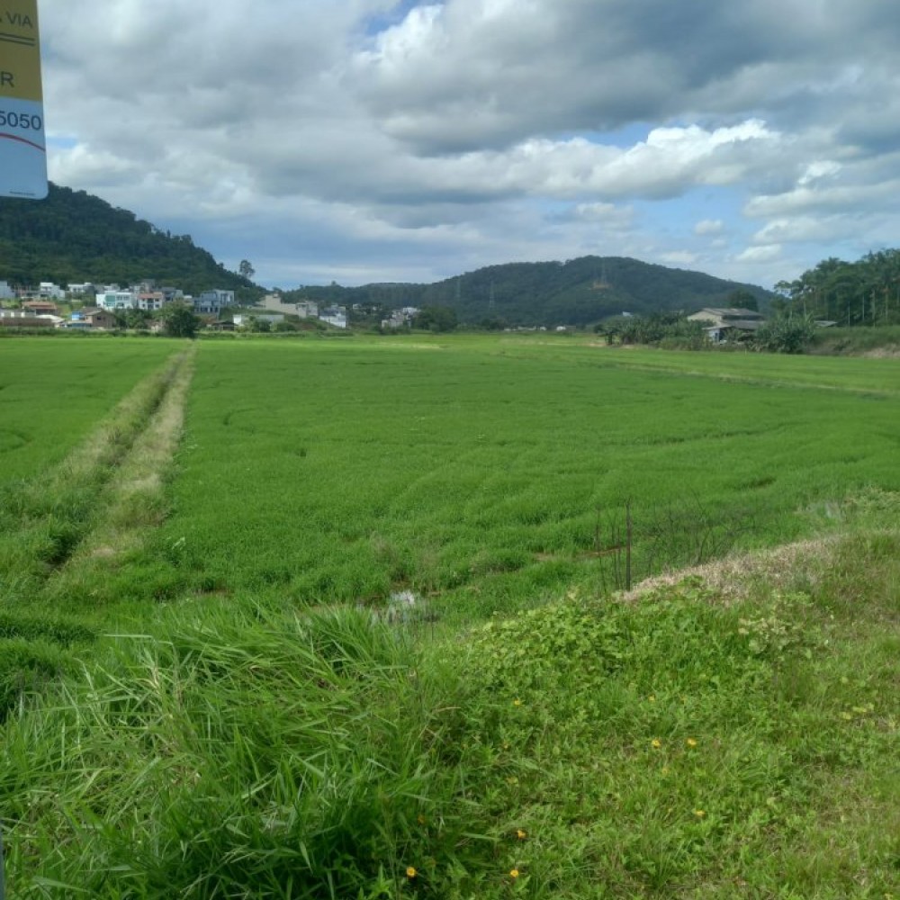 Terreno Guaramirim Br 280