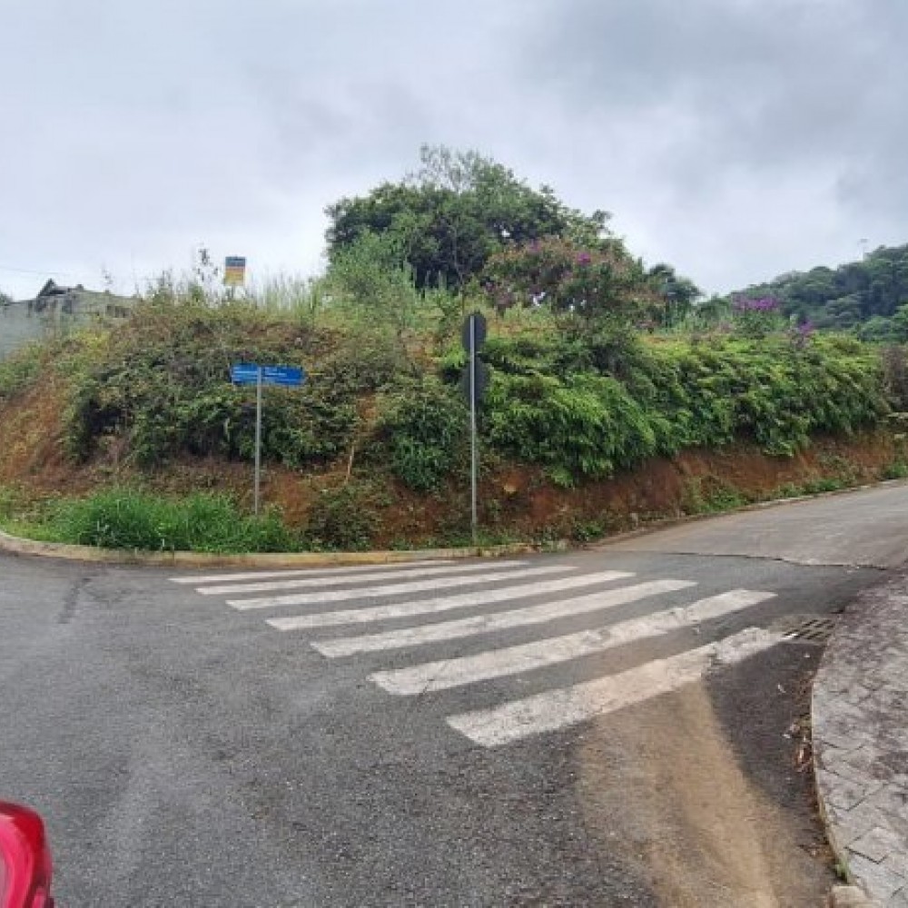 Terreno 