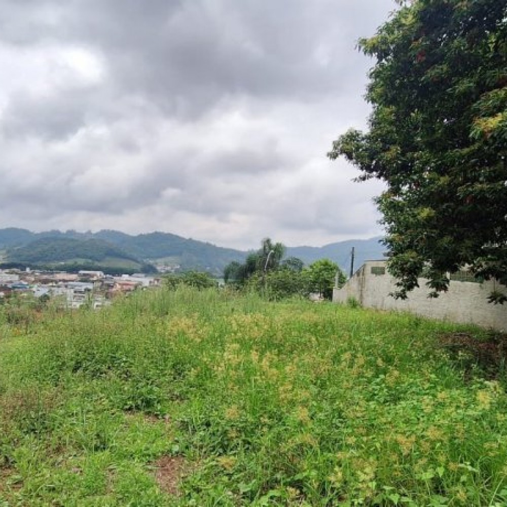 Terreno 