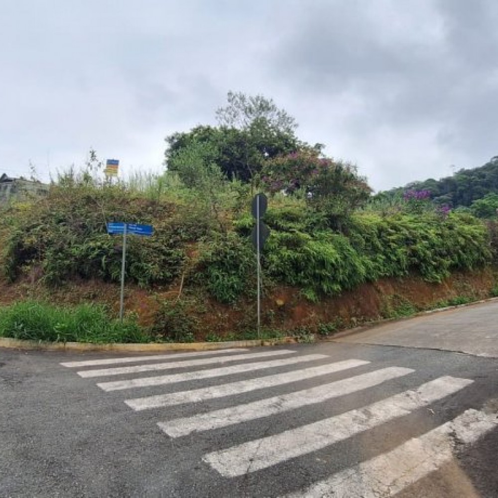 Terreno 