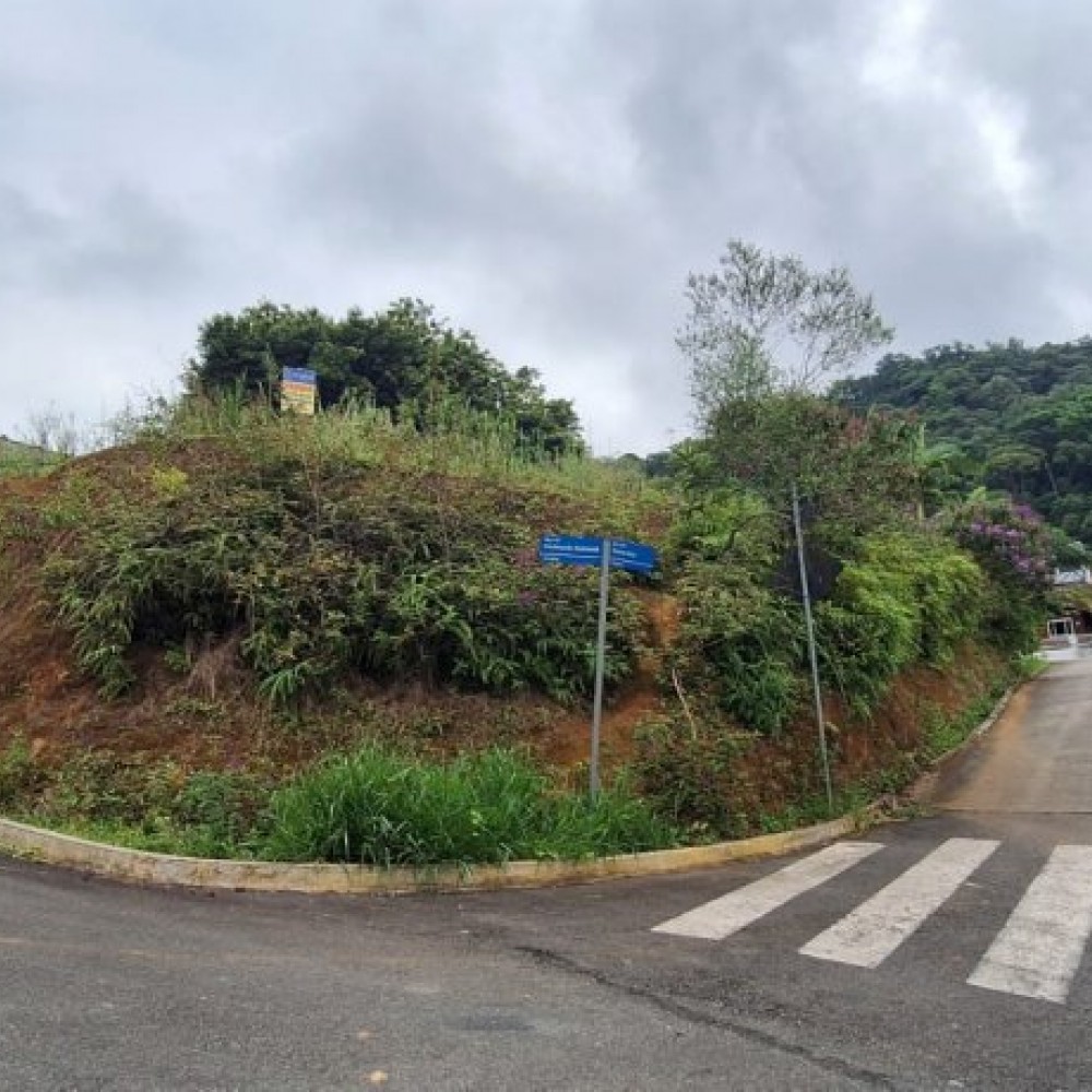 Terreno 
