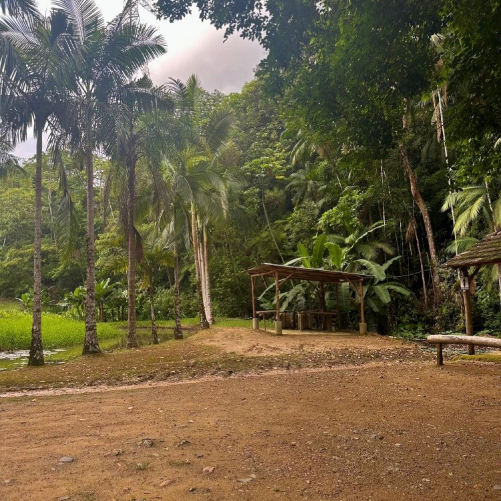 Terreno Jaragu do Sul