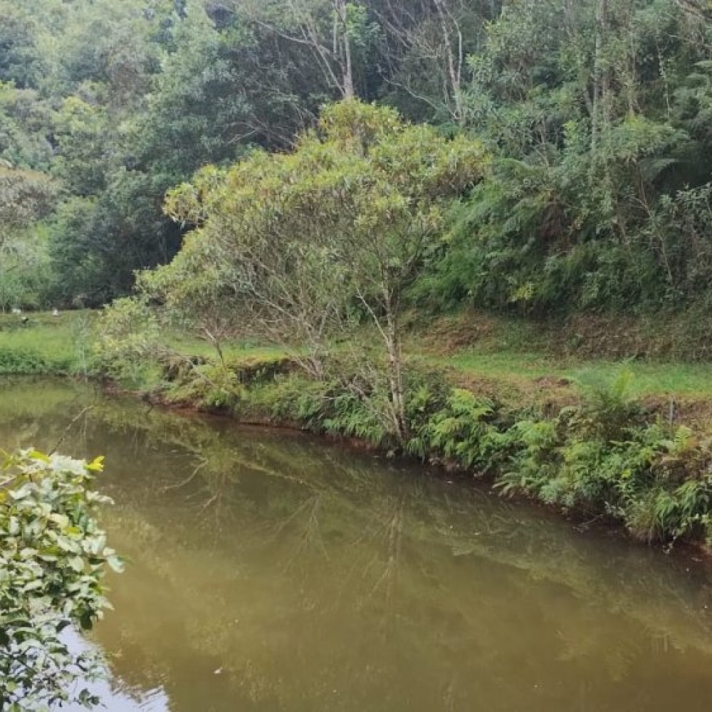 Terreno Nereu Ramos com casa