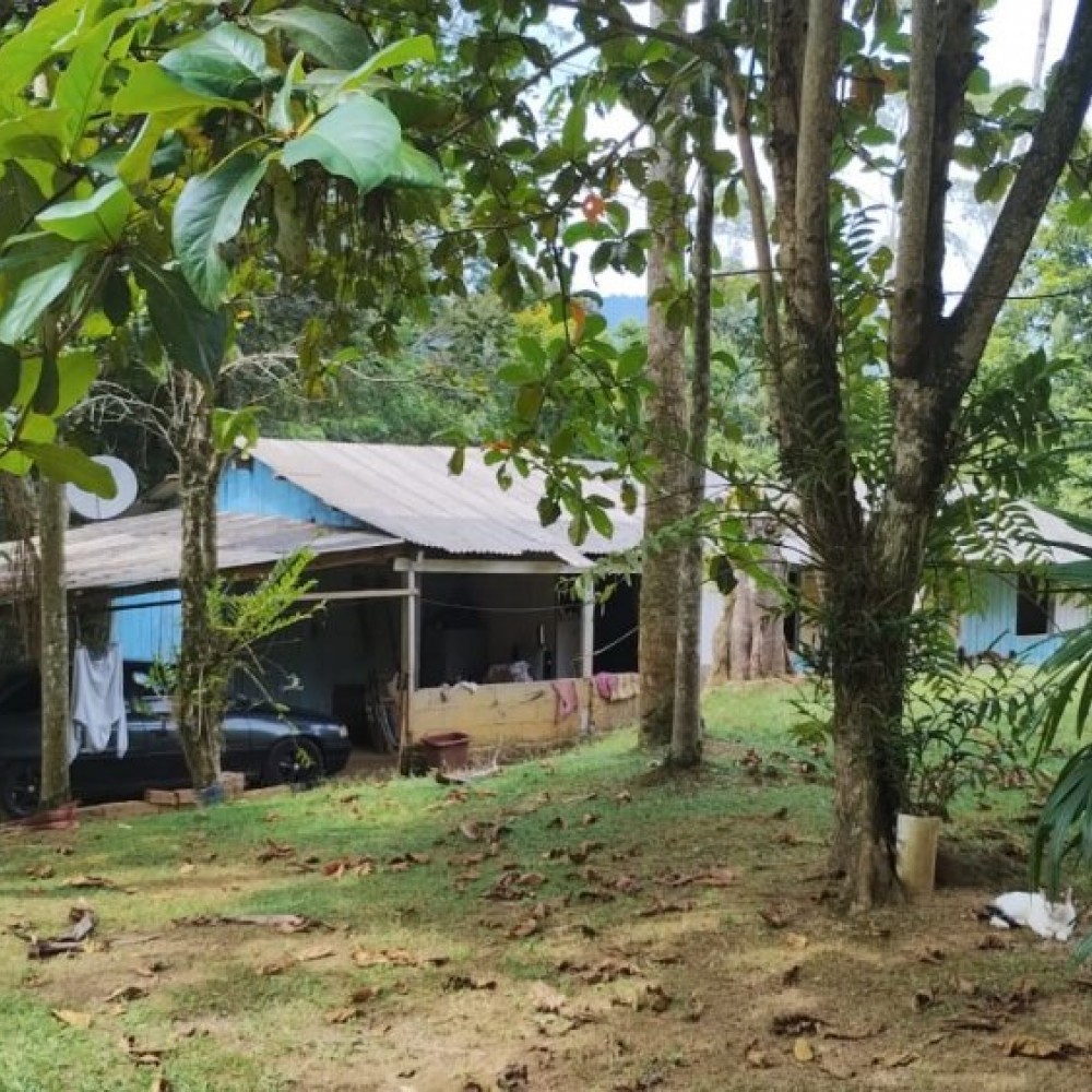 Terreno Nereu Ramos com casa