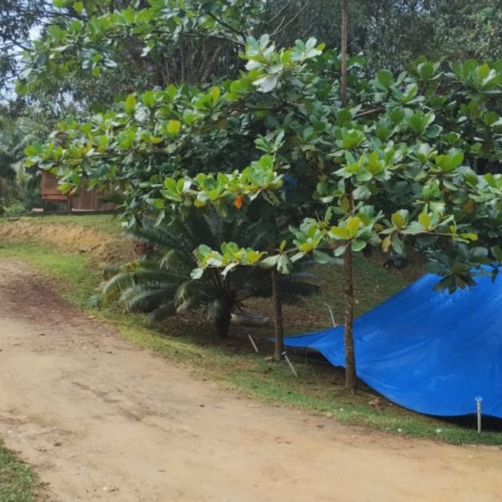 Terreno Nereu Ramos com casa