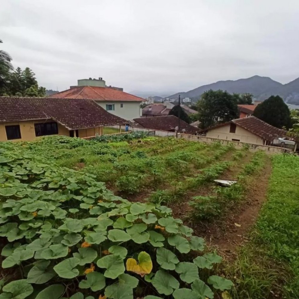 Terreno Ilha da Figueira