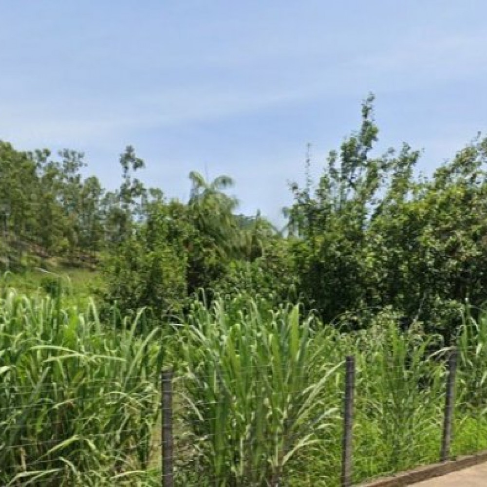 Terreno / Casa - Tr�s Rios do Sul - Jaragu� do Sul