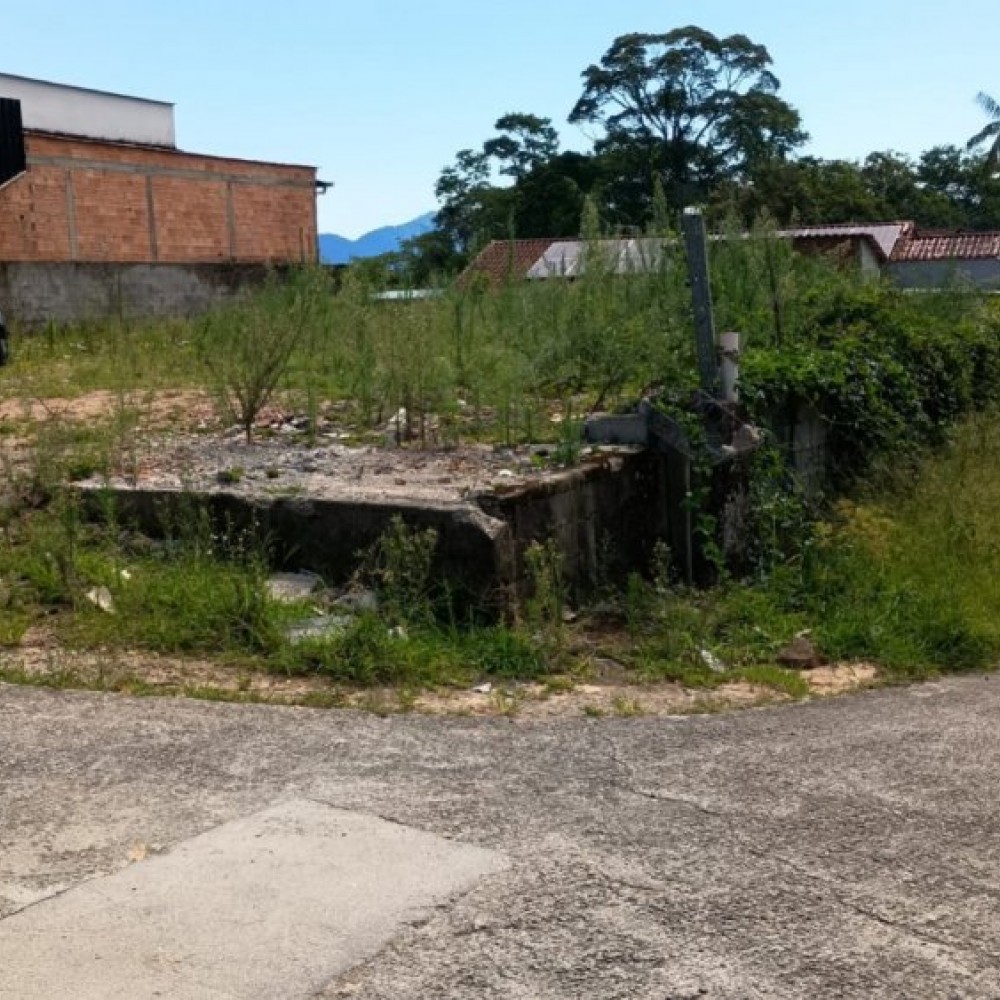 Terreno - Ilha da Figueira - Jaragu� do Sul