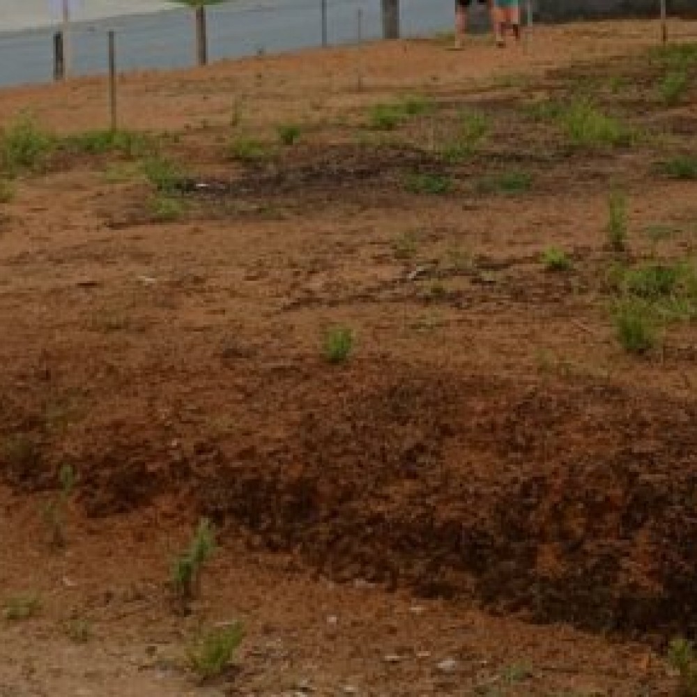 Terreno - Rio Branco - Guaramirim