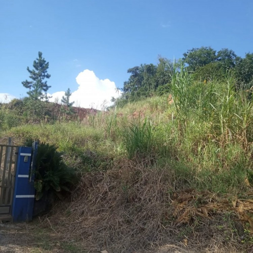 Terreno Jaragu� do Sul