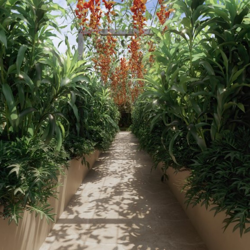 Apartamento Joinville