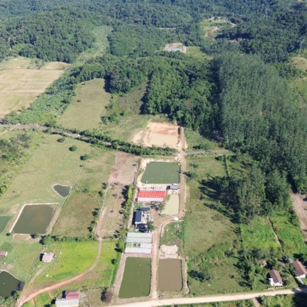 Terreno Nereu Ramos