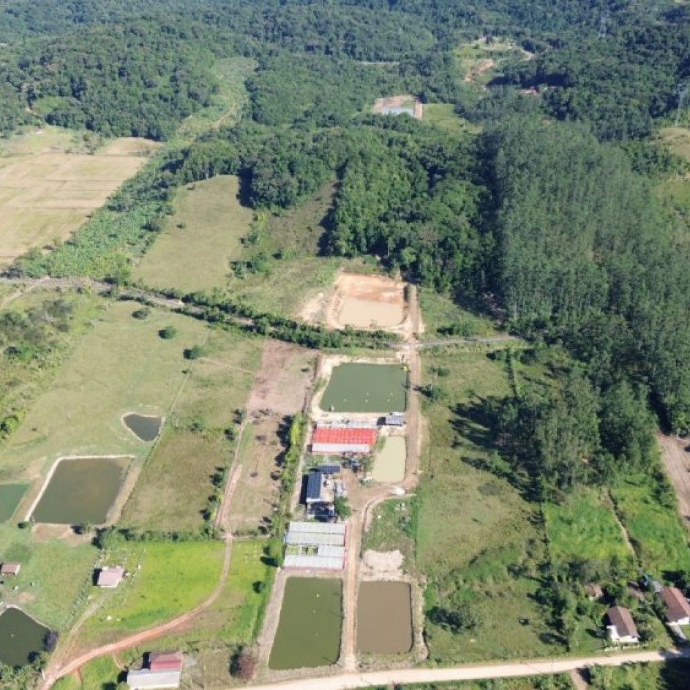 Terreno Nereu Ramos
