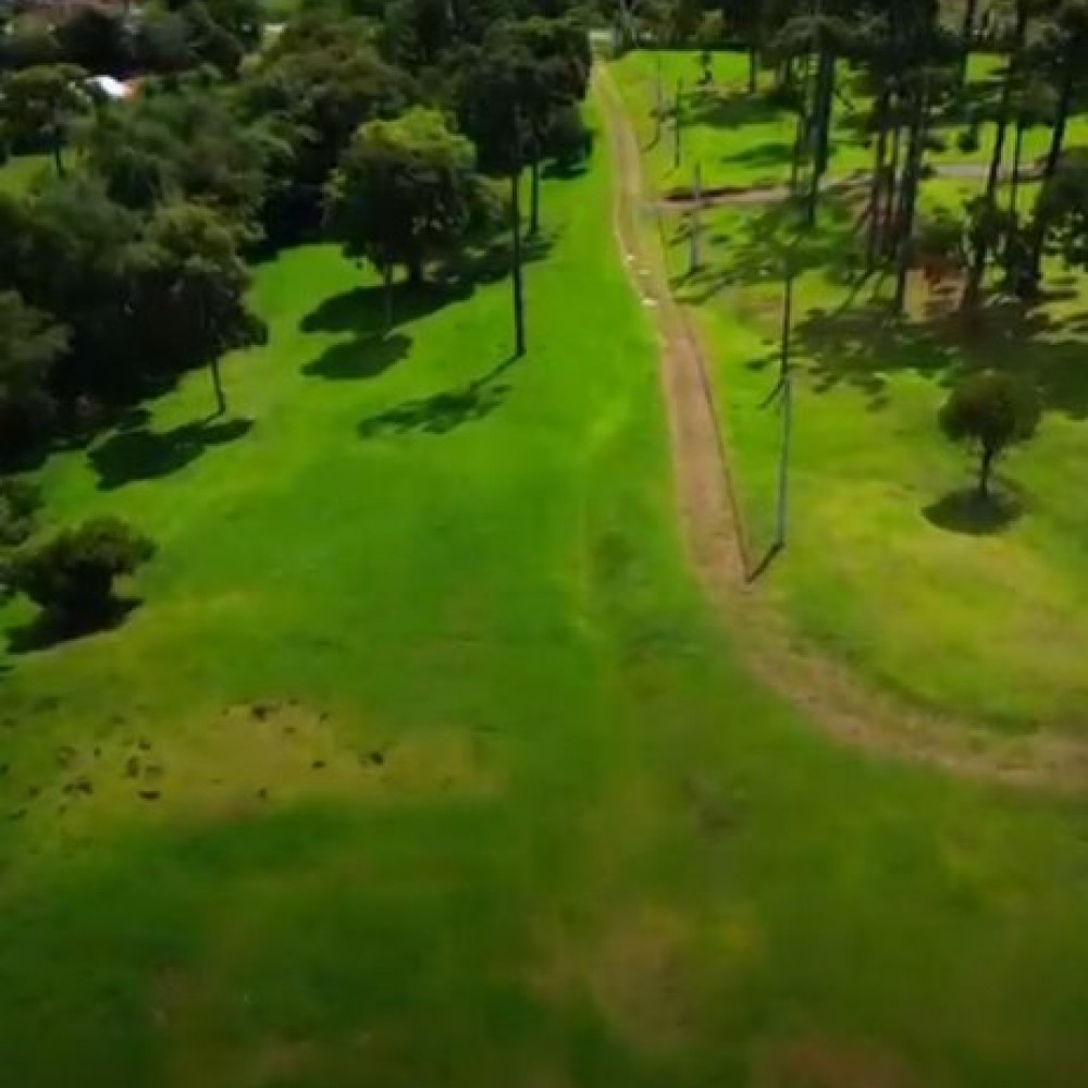 Terreno Campo Alegre 