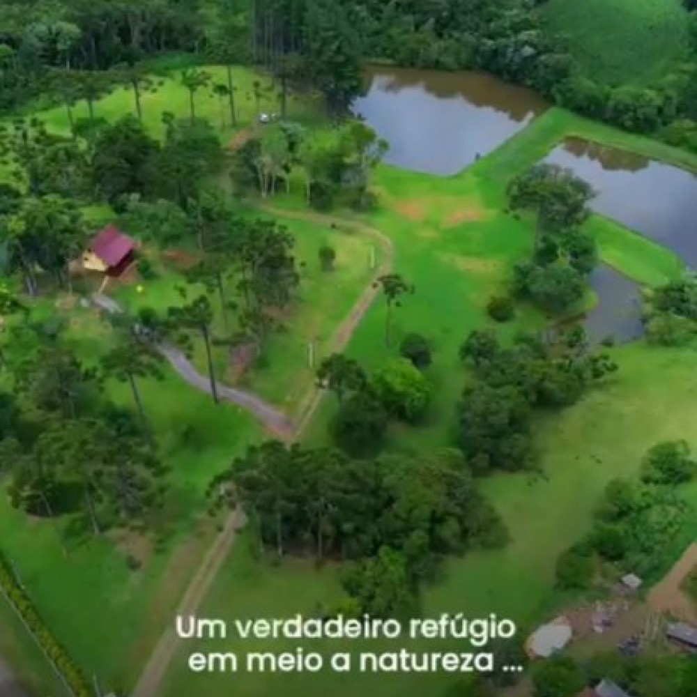 Terreno Campo Alegre 