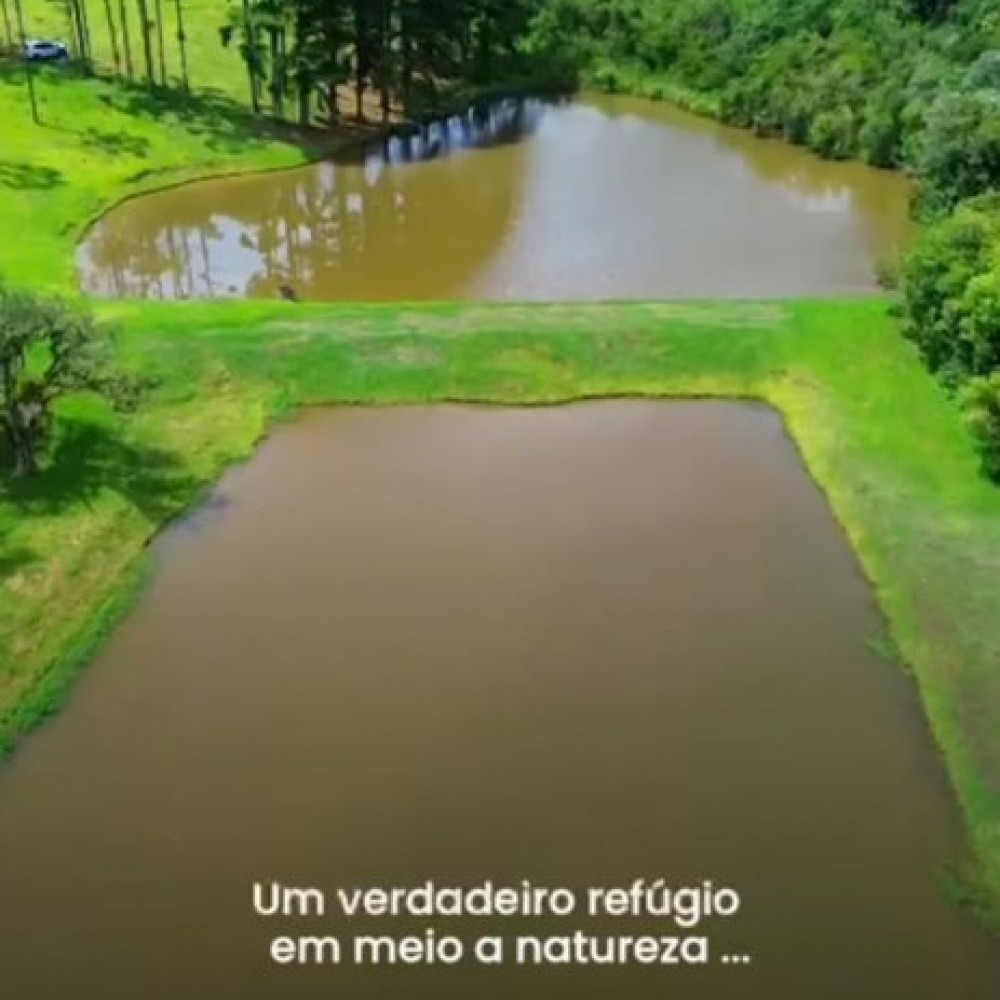 Terreno Campo Alegre 
