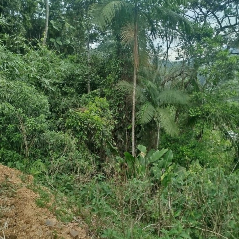 Terreno Corup�