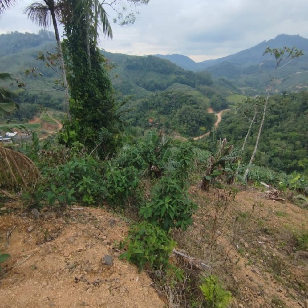 Terreno Corup�