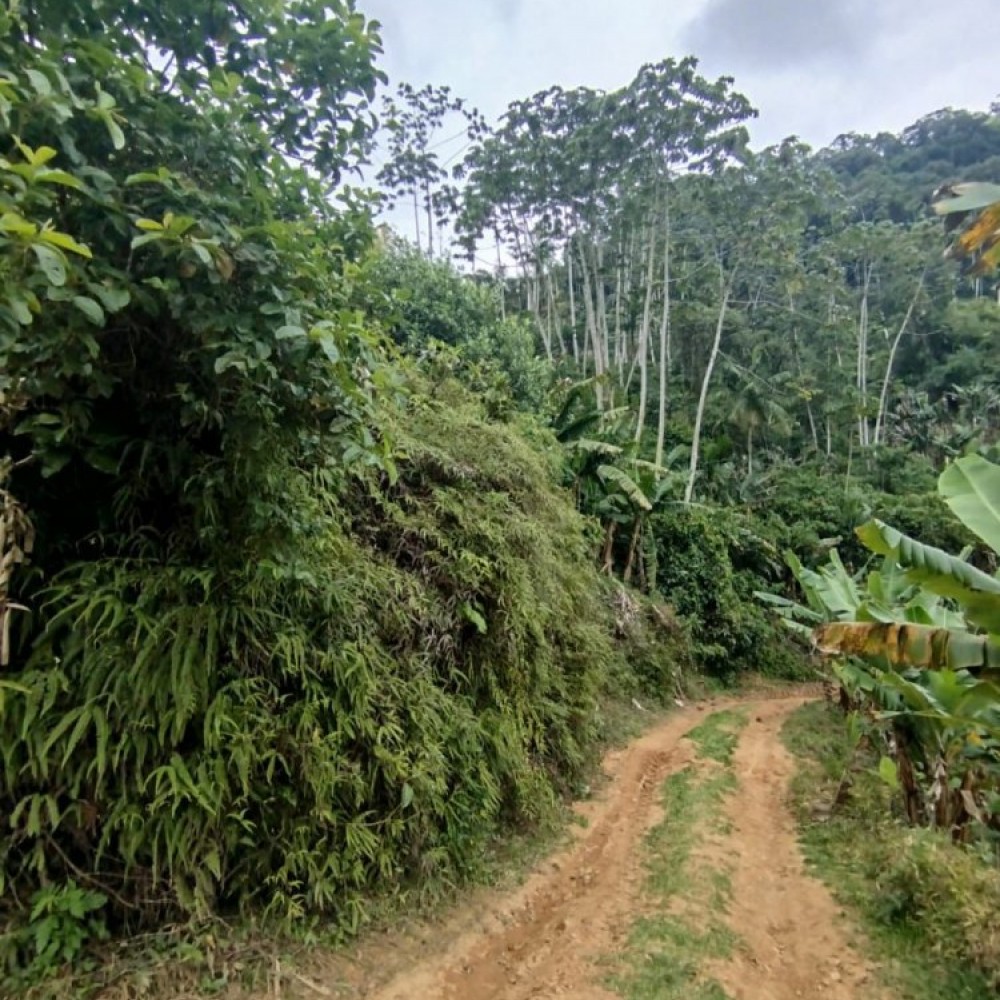 Terreno Corup�