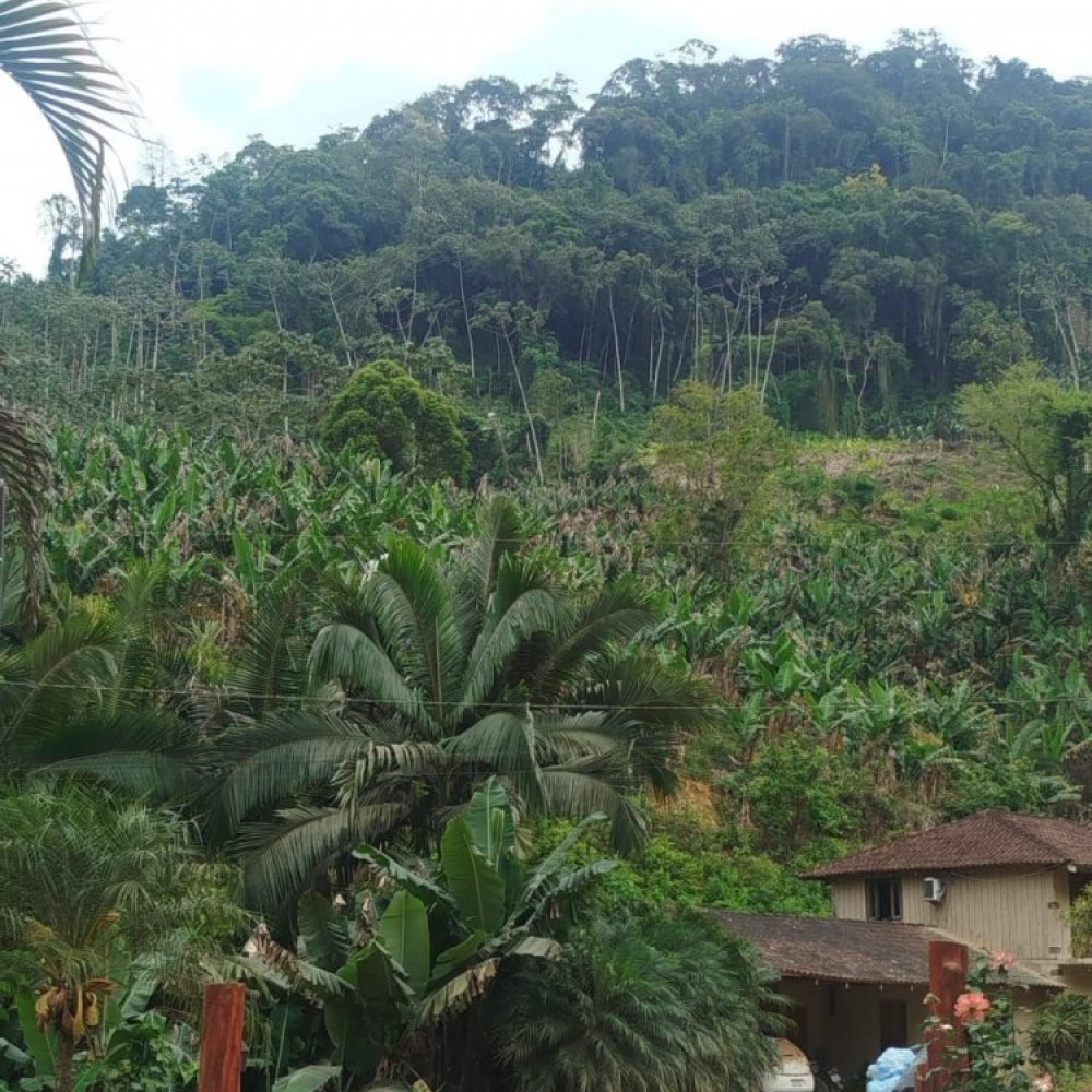 Terreno Corup�