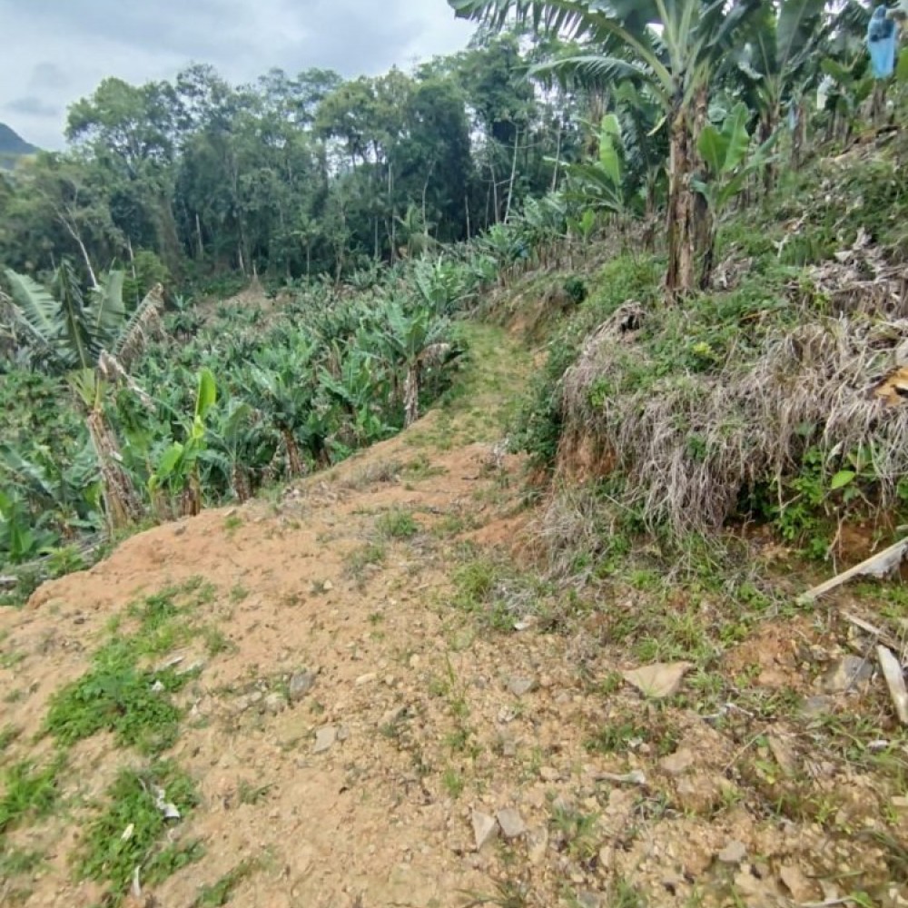 Terreno Corup�
