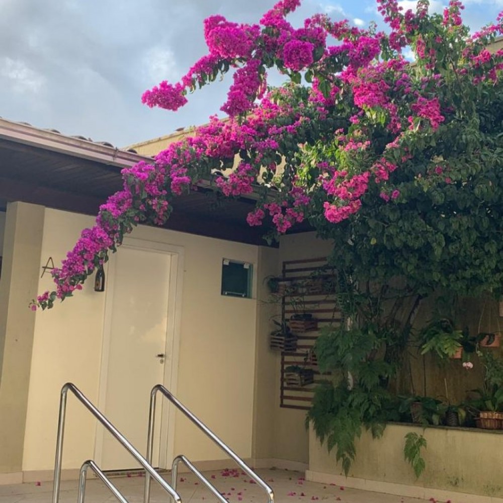 Casa com 4 Quartos e Piscina no Czerniewicz