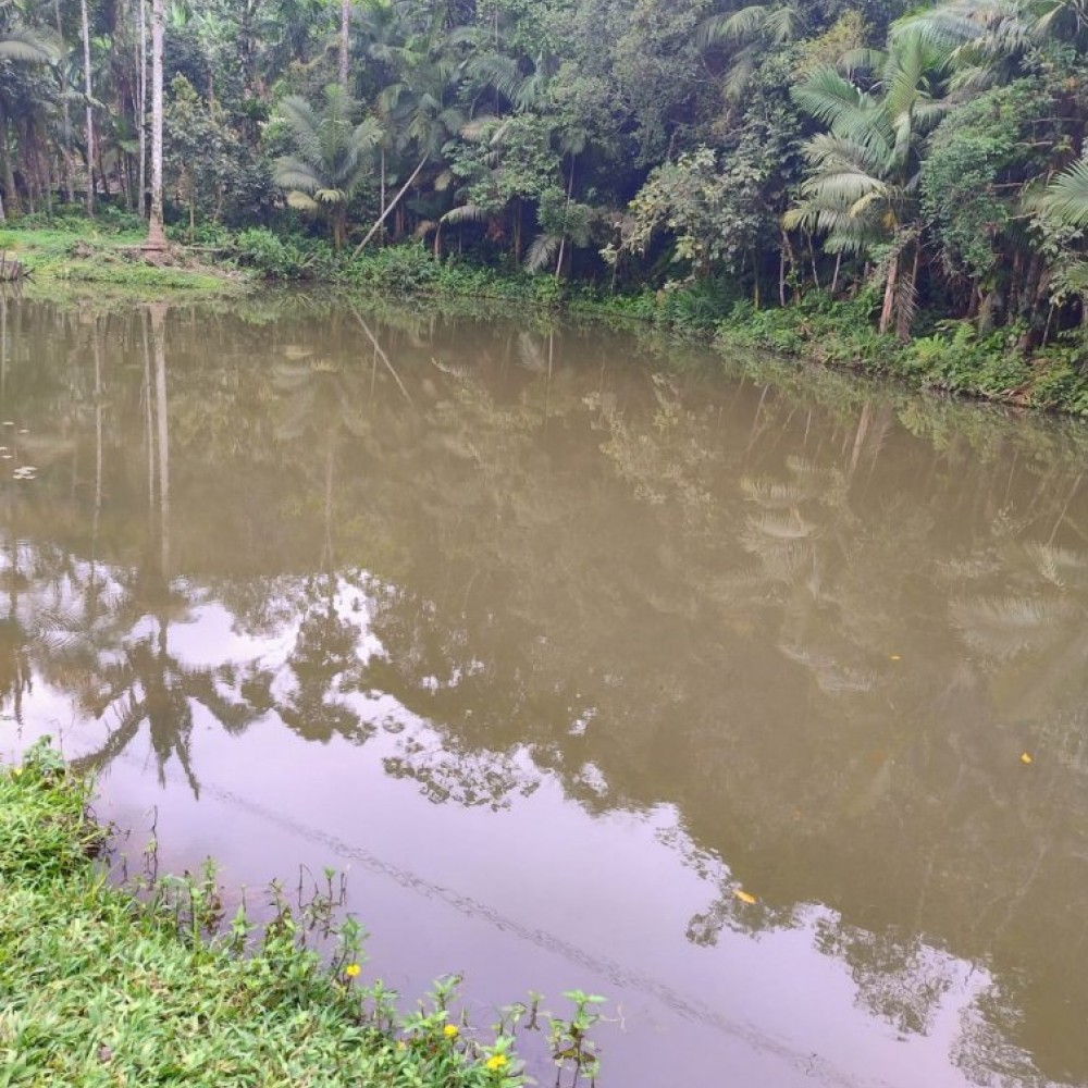 CH�CARA NO BAIRRO NEREU RAMOS