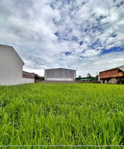 terreno ilha da figueira 