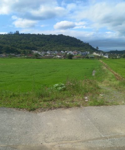 Terreno Guaramirim Br 280