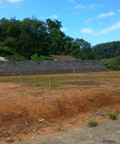 Terreno - Rio Branco - Guaramirim