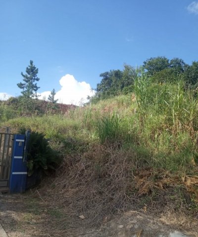 Terreno Jaragu� do Sul