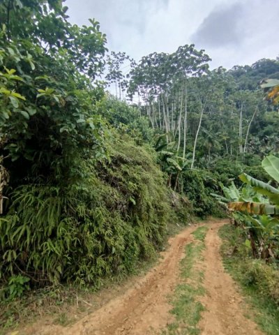 Terreno Corup�